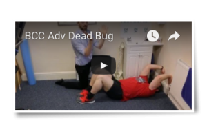 adv dead bug