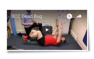 dead bug