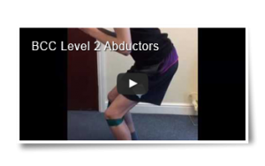 L2 abductors